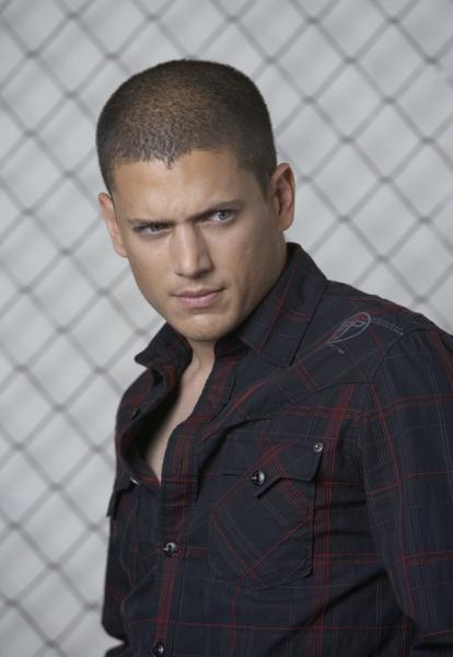 Wentworth Miller ( filmo )