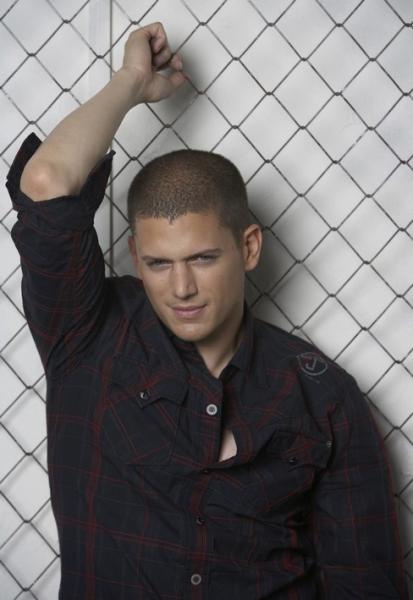 Wentworth Miller ( sa   Carrière )