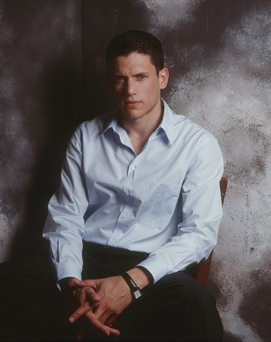 Wentworth Miller ( En bref  )
