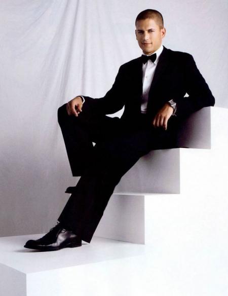 Wentworth Miller ( Prison Break   )